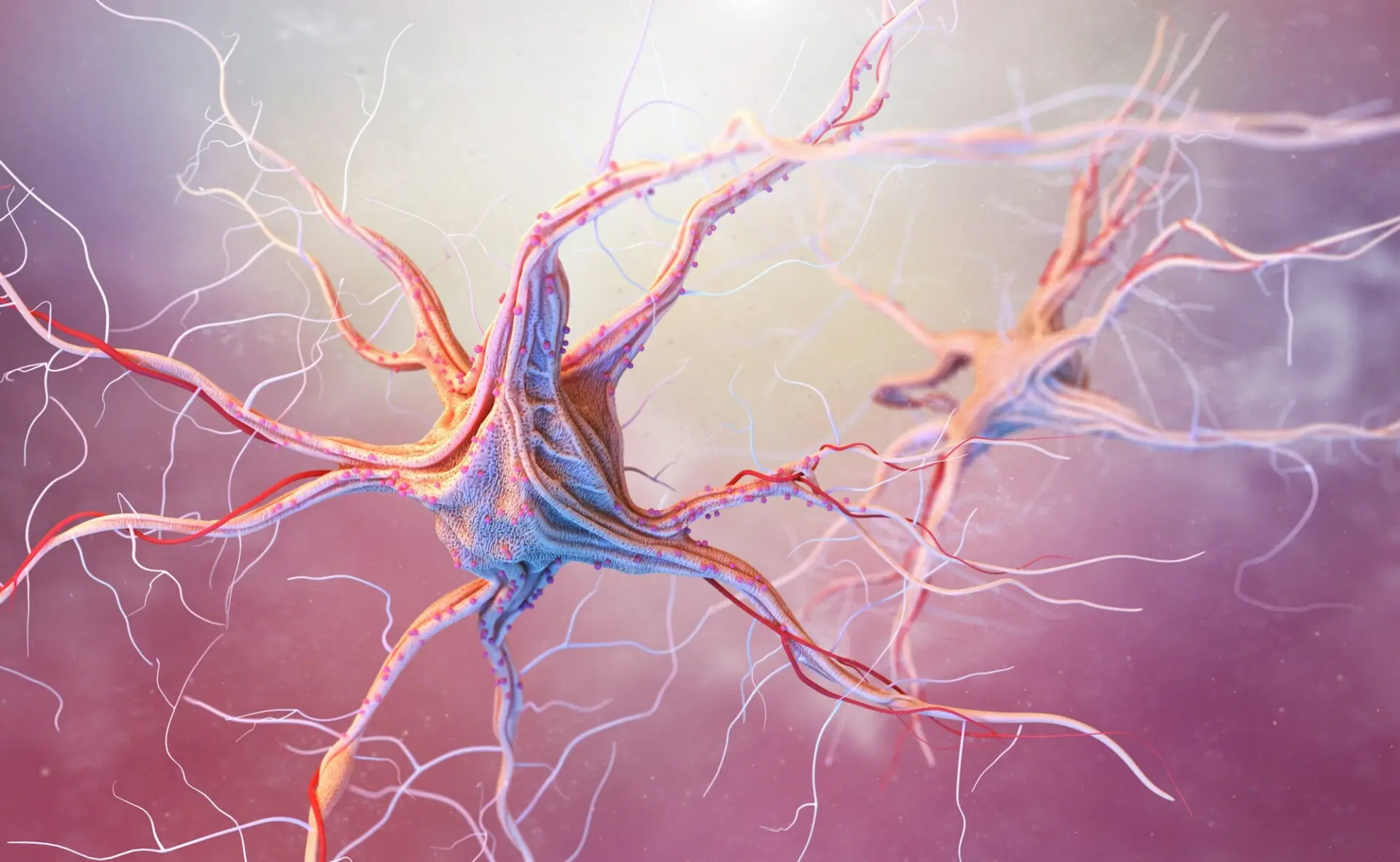 Neural manipulation therapy